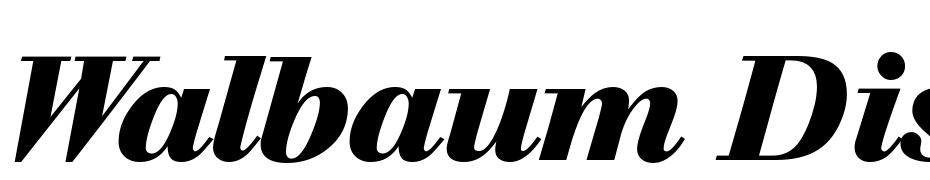 Walbaum Display Heavy Regular Italic Yazı tipi ücretsiz indir
